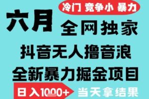 2025年6月高爆抖音无人直播最新撸音浪掘金项目，无脑日入1k+，低门槛小白可做，可矩阵放大【揭秘】-麦资源网