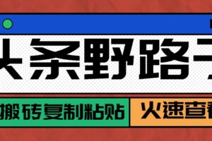头条野路子玩法之相亲赛道，无脑搬砖复制粘贴，单账号日稳定300+保姆级教程-麦资源网