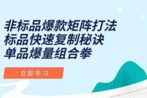 非标品爆款矩阵打法，标品快速复制秘诀，单品爆量组合拳-麦资源网