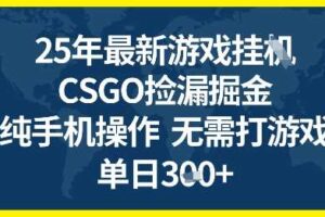 25年CSGO游戏搬砖，全自动挂G，不需要玩游戏，手机操作日入3张+【揭秘】-麦资源网