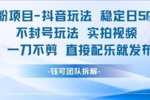 男粉项目抖音玩法稳定日收5张实拍视频一刀不剪直接配乐就发布不封号玩法-麦资源网