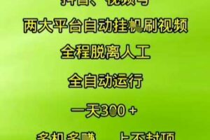 抖音视频号两大平台自动运行，全程脱离人工，自动获取收益，一天3张+，多机多挣，上不封顶【揭秘】-麦资源网