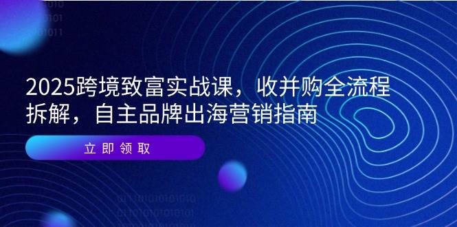 图片[1]-（14975期）2025跨境致富实战课，收并购全流程拆解，自主品牌出海营销指南