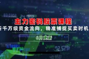 （14976期）主力密码股票课程，解析千万级资金流向，精准捕捉买卖时机指南（6月更新）-麦资源网