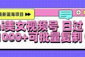 视频号AI美女跳舞暴力起号玩法，日入1k+，全程软件操作，小白也能玩的项目-麦资源网