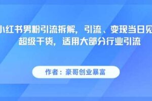 小红书男粉引流拆解，引流、变现当日见效超级干货，适用大部分行业引流-麦资源网