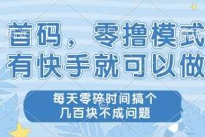 首码零撸项目,有快手就可以做,每天业务时间搞个几张不是问题【揭秘】-麦资源网