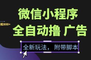 （15134期）微信小程序挂机撸广告，全新玩法，新手一天轻松800+【附带脚本】-麦资源网