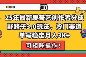 （15208期）25年最新爱奇艺创作者分成野路子3.0玩法，冷门赛道，单号稳定月入3K+，…-麦资源网