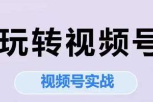 玩转视频号，视频号实战系列课-麦资源网