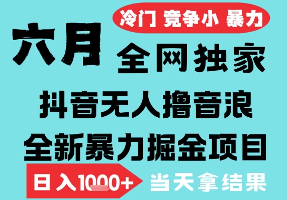 2025年6月高爆抖音无人直播*撸音浪掘金项目，无脑日入1k+，低门槛小白可做，可矩阵放大【揭秘】