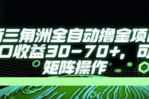 最新AI全自动游戏撸金项目，单窗口收益30-70+，可批量操作【揭秘】-麦资源网