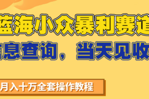 蓝海小众暴利赛道，信息查询，当天见收益，不讲玄学，7天搞了2万+-麦资源网