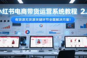 小红书电商带货运营系统教程2.0，有货源无货源关键环节全面解决方案！-麦资源网