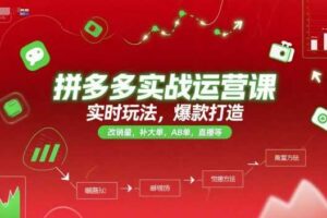 拼多多实战运营课，实时玩法，爆款打造，改销量，补大单，AB单，直播等（更新2025月）-麦资源网