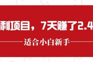 （15228期）最新暴利项目，每单收益轻松在300以上，7天赚了2.4万-麦资源网