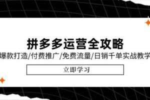 （15085期）拼多多运营全攻略，爆款打造/付费推广/免费流量/日销千单实战教学/6月更新-麦资源网