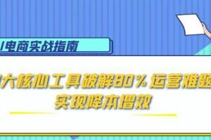 （15026期）AI电商实战指南：3大核心工具破解80%运营难题，实现降本增效-麦资源网
