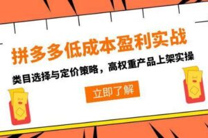 （15143期）拼多多低成本盈利实战，类目选择与定价策略，高权重产品上架实操-麦资源网