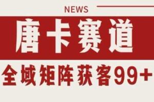 小红书某音唐卡赛道引流获客 自热矩阵日引200+【揭秘】-麦资源网