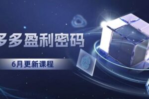 (15005期)拼多多盈利密码:从烧钱推广到印钞模型,底层逻辑重构指南(6月更新)-麦资源网