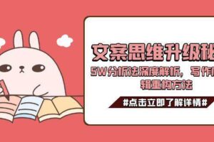 文案思维升级秘籍，5W分析法深度解析，写作底层逻辑重构方法-麦资源网