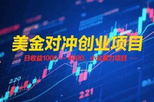 （15187期）美金对冲创业项目，日收益 1000 – 4000，小众暴力项目-麦资源网