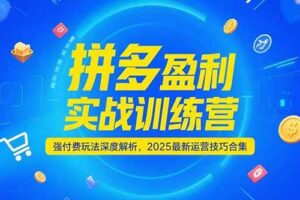 （15183期）拼多多盈利实战训练营，强付费玩法深度解析，2025最新运营技巧合集-麦资源网