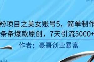 男粉项目之美女账号5，简单制作，条条爆款原创，7天引流5000+-麦资源网