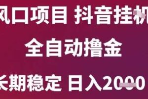 风口项目，六月最新玩法抖音无人挂G，全自动撸金，长期稳定 日入2k+【揭秘】-麦资源网