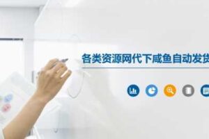 各类资源网代下咸鱼自动发货-麦资源网