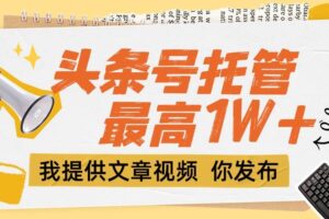 （15222期）【头条号托管 】团队提供文章视频，你发布，每天5分钟，最高躺挣1W+-麦资源网