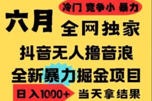 25年6月高爆抖音无人直播最新撸音浪掘金项目，小白可做，无脑日入1k+，门槛低可批量矩阵【揭秘】-麦资源网