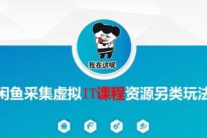 闲鱼采集虚拟IT课程资源另类玩法，干货满满-麦资源网