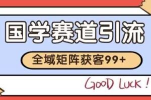 小红书某音国学赛道引流获客 自热矩阵日引200+【揭秘】-麦资源网