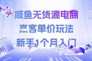 咸鱼无货源电商，高客单价玩法，新手1个月入门-麦资源网