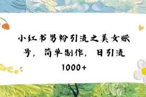 小红书男粉引流项目之美女账号6，简单制作，条条爆款原创，不违规-麦资源网