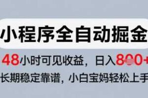 微信小程序全自动掘金，快速见收益，长期稳定靠谱，零基础友好，日入8张【揭秘】-麦资源网