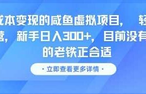 零成本变现的咸鱼虚拟项目， 轻资产运营，新手日入3张+，目前没有项目的老铁正合适-麦资源网