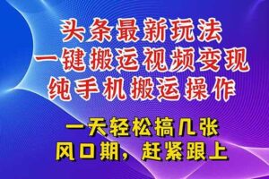 （15237期）今日头条最新玩法，一键搬运视频也能轻松变现，随随便便就爆百万流量，…-麦资源网