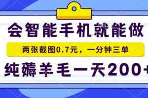 （15209期）2025年零撸手机项目 二十秒一单 纯薅羊毛 一天200+做就有-麦资源网