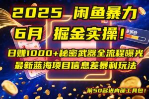 （14964期）2025闲鱼暴力掘金实操！日赚1000+秘密武器全流程曝光，最新蓝海项目信…-麦资源网