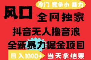 25年6月高爆抖音无人直播最新撸音浪掘金项目，解放双手小白可做，无脑日入1k+，门槛低【揭秘】-麦资源网