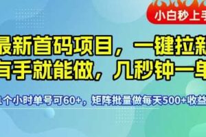 最新首码项目，一键拉新有手就能做，几秒钟一单，1个小时单号可60+，矩阵批量做每天5张【揭秘】-麦资源网