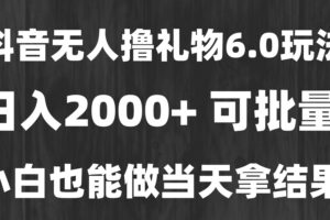 (15250期)最新风口暴力撸金技术,无人撸礼物,长期稳定 一天收益2000+,小白当天…-麦资源网