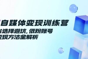 （14966期）AI自媒体变现训练营，平台选择避坑，低粉账号高变现方法全解析-麦资源网