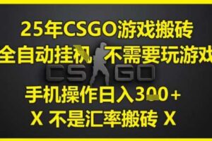 25年CSGO游戏搬砖，全自动运行，不需要玩游戏，手机操作日入3张(不是汇率搬砖)【揭秘】-麦资源网