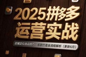 （15235期）2025拼多多运营实战：店铺定位选品技巧，爆款打造全流程解析（更新6月）-麦资源网