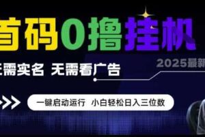 首码0撸挂G项目,无需实名无需看广告 一键启动运行,小白轻松日入三位数【揭秘】-麦资源网