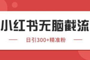 小红书截流同行客源，独家野路子获客玩法 日引200+暴力获客【揭秘】-麦资源网
